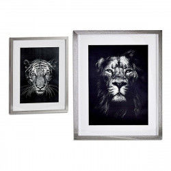 Malba Lion - Tiger (43 x 3...