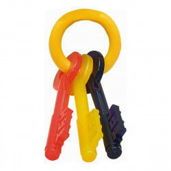 Dog chewing toy Nylabone...