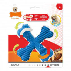 Dog chewing toy Nylabone...