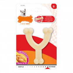 Dog chewing toy Nylabone...