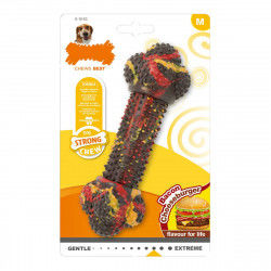 Dog chewing toy Nylabone...