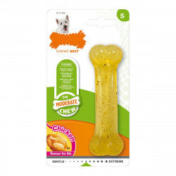 Dog chewing toy Nylabone...