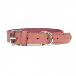 Dog collar Gloria Oasis...