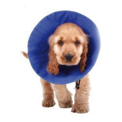 Elizabethan Dog Collar KVP...