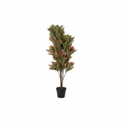 Decorative Plant DKD Home...