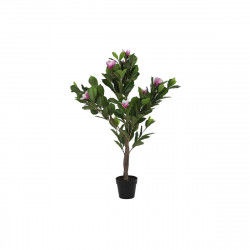 Decorative Plant DKD Home...