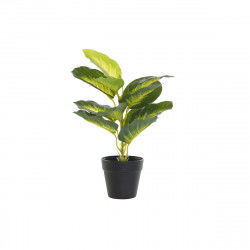 Decorative Plant DKD Home...