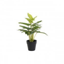 Decorative Plant DKD Home...