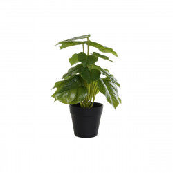 Decorative Plant DKD Home...