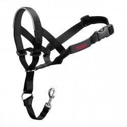 Dog Training Collars...