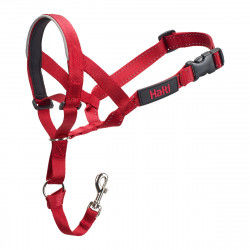 Dog Training Collars...