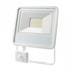 Floodlight/Projector Light...