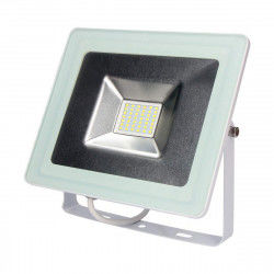 Floodlight/Projector Light...