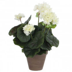 Decorative Plant Mica...