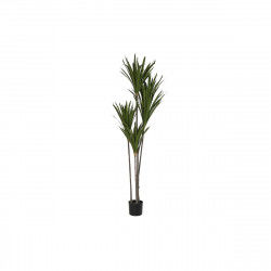 Decorative Plant DKD Home...