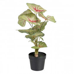 Decorative Plant Red Green...