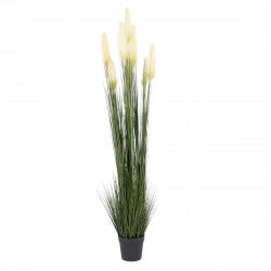 Decorative Plant 44 x 48 x...