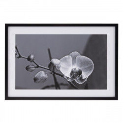 Plátno Orchidea 65 x 2 x 95...