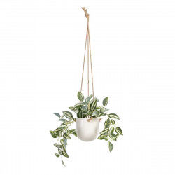 Decorative Plant 24 x 35 x...