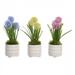 Decorative Plant DKD Home...