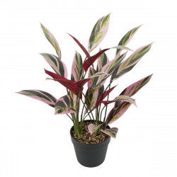 Decorative Plant 43 x 40 x...