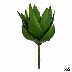 Okrasná rastlina Aloe vera...