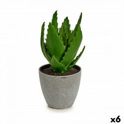 Decorative Plant Aloe Vera...