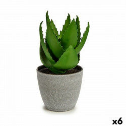 Decorative Plant Aloe Vera...