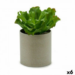 Decorative Plant 20 x 25 x...