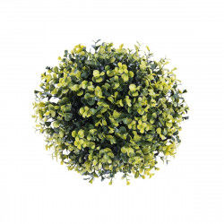 Decorative Plant   Ball...