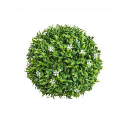 Decorative Plant   Ball...