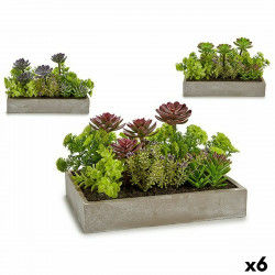 Decorative Plant Succulent...