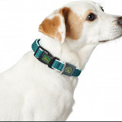 Hundehalsband Hunter Basic...