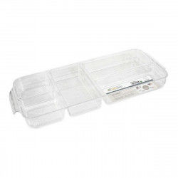 Tray with Compartments...