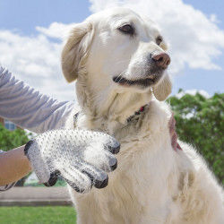 Pet Brush & Massage Glove...