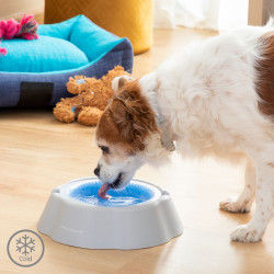 Cooling Pet Water Bowl...