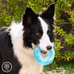 2-in-1 Freezable Pet Chew...