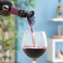 2-in-1  Wine Stopper with...