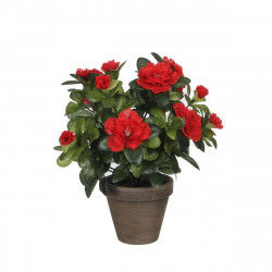 Decorative Plant Mica...