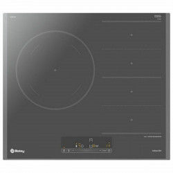 Flexinduction plates Balay...