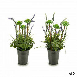 Decorative Plant Lavendar...