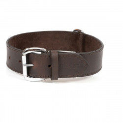 Dog collar Gloria Brown 70...