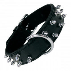 Dog collar Gloria Black...