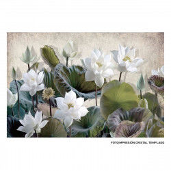 Canvas Waterlily 120 x 4 x...