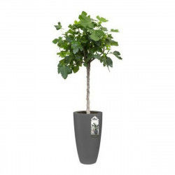 Plant pot Elho...