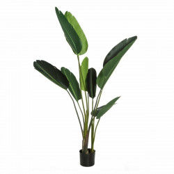 Decorative Plant PVC Iron...