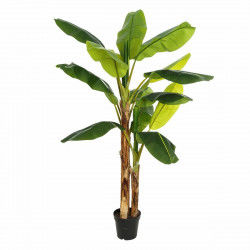 Decorative Plant 103 x 95 x...