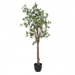 Decorative Plant 78 x 68 x...