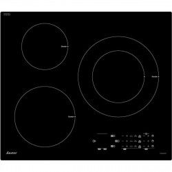 Induction Hot Plate Sauter...