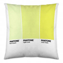 Kissenbezug Ombre C Pantone...